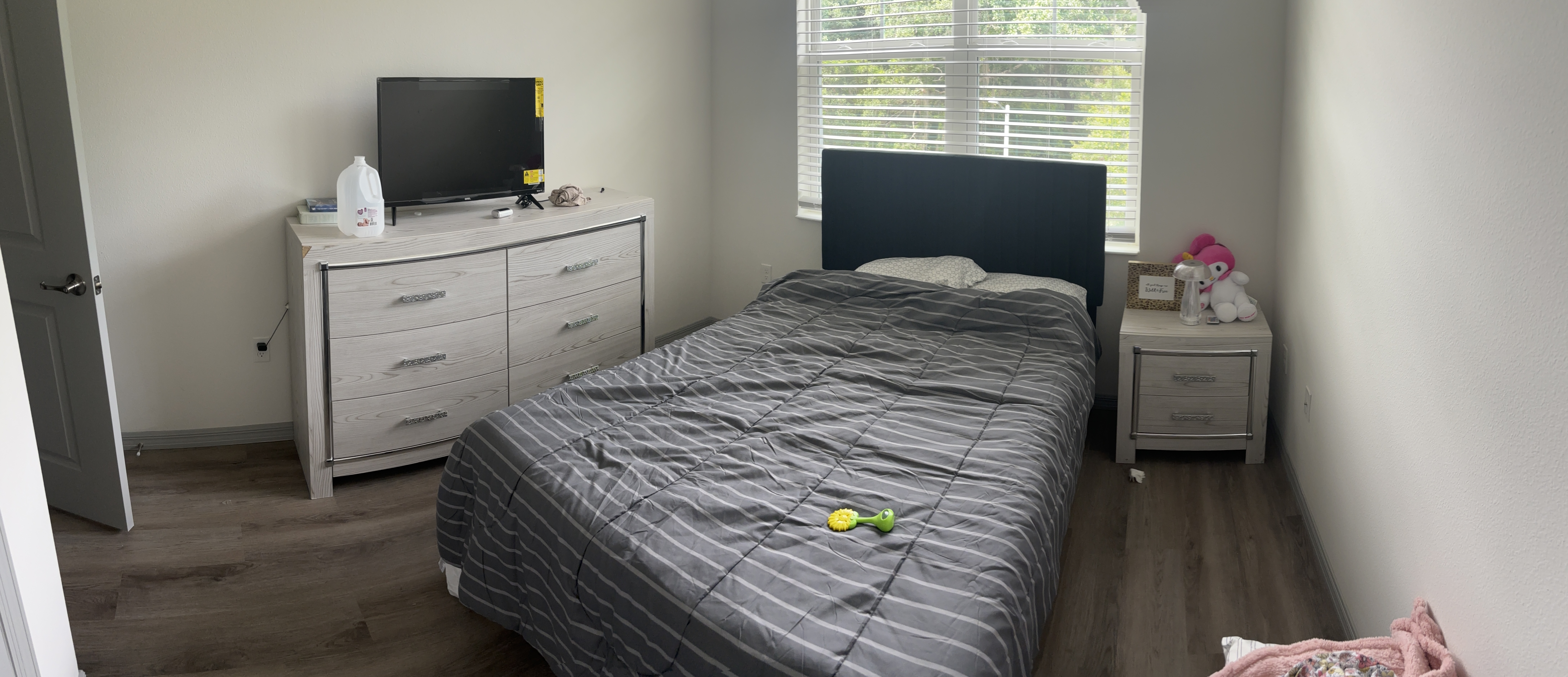 Furniture Removal